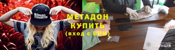 прущие грибы Абаза
