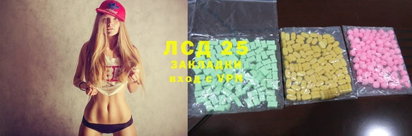 прущие грибы Абаза