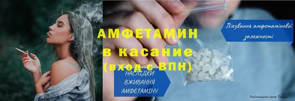 прущие грибы Абаза