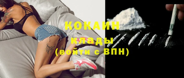 прущие грибы Абаза