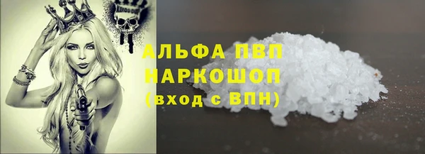 прущие грибы Абаза