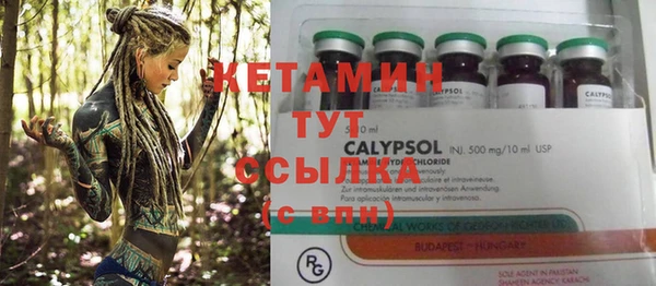 прущие грибы Абаза