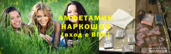 прущие грибы Абаза
