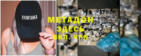 прущие грибы Абаза