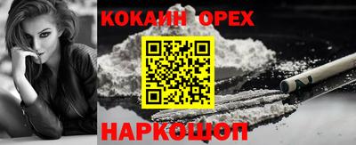 эйфоретик Можга