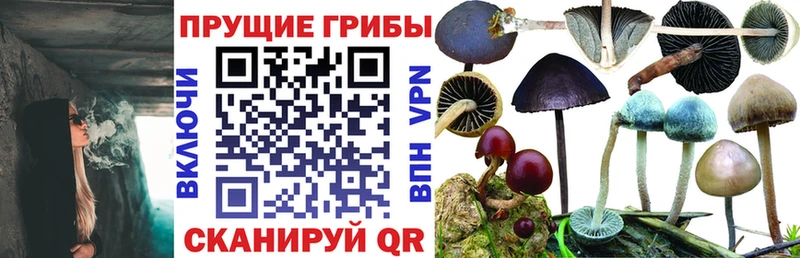 Галлюциногенные грибы прущие грибы  что такое наркотик  Ялуторовск 