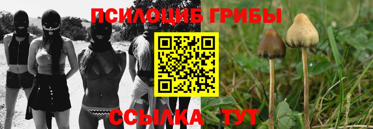 Галлюциногенные грибы прущие грибы  сколько стоит  Ялуторовск  Вход с VPN 